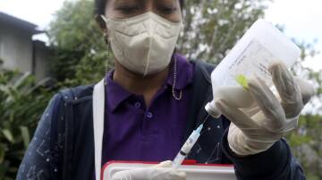 VACCINE ROLL OUT: An Agriculture Ministry official prepares a shot to be given to livestock during a vaccination campaign to prevent the spread of foot and mouth disease at a farm in Denpasar, Bali.