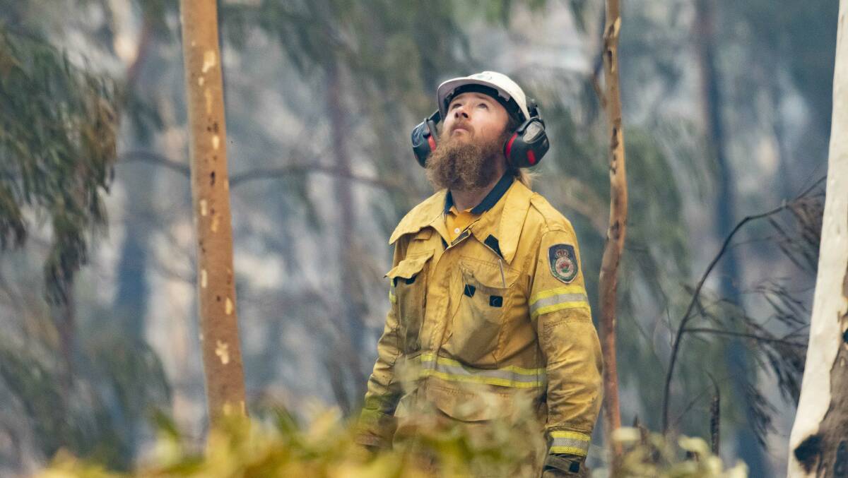 A NSW Rural Fire Service volunteerlooks for dangerous trees along the Princes Highway in the wake of the Currowan bushfire. Picture: Sitthixay Ditthavong
