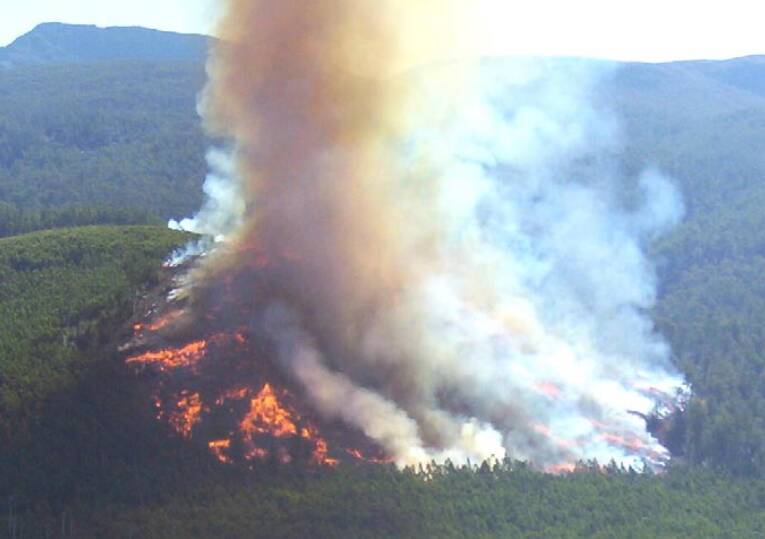 A high intensity burn following native forest harvesting. Image: Forestry Tasmania, Technical Bullet No. 5