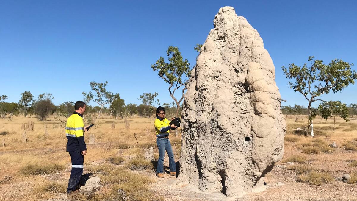 Not much in the way of detectable greenhouse gases were found in the NT outback in 2018 - other than a whiff from termite mounds. Picture from CSIRO