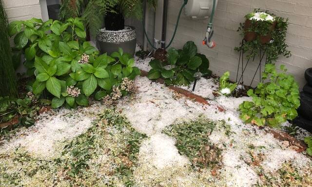 Pictures sent in by readers of The Canberra Times of rain and hail from the storm on Thursday January 16.