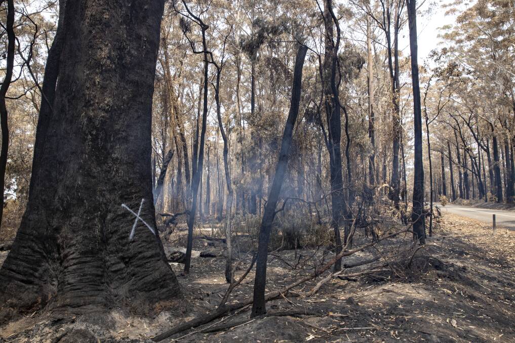 Fires continue to threaten homes on the NSW South Coast. Pictures: Sitthixay Ditthavong
