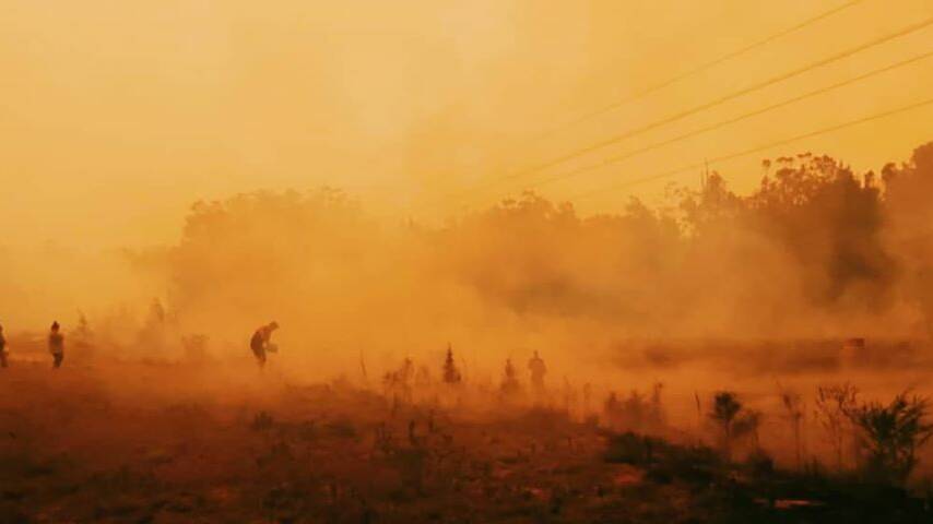 Residents battling the bushfire in the Thrumster area, outside Port Macquarie. Picture: Talaya Abbott
