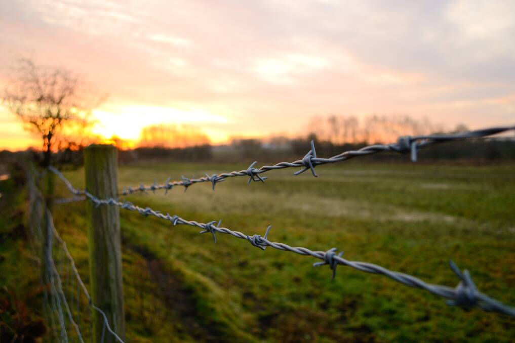 Metal was not used for fencing until steel wire became available in the 19th century. Picture: Shutterstock
