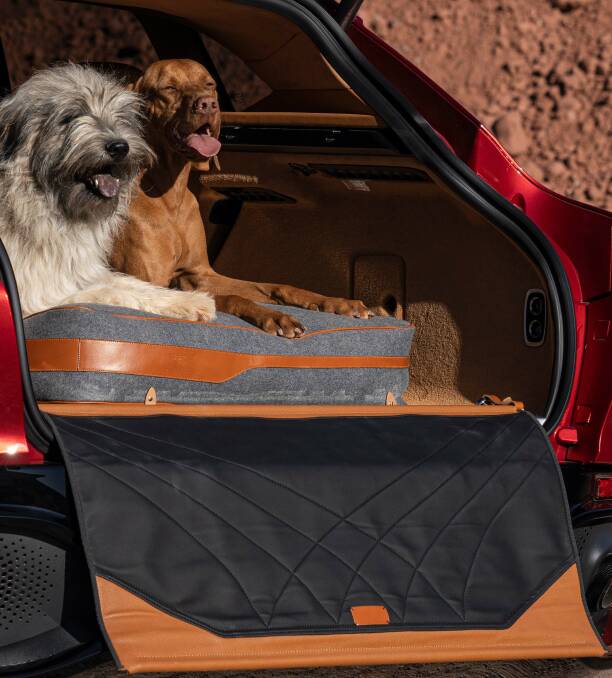 Aston Martin's new DBX can come with an optional pet package.