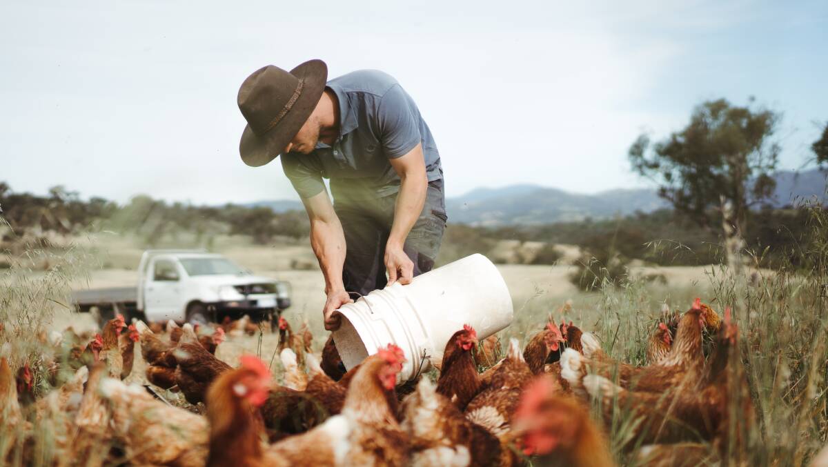 Adam Lilleyman says he never thought he would be a chicken farmer. Picture: Dion Georgopoulos