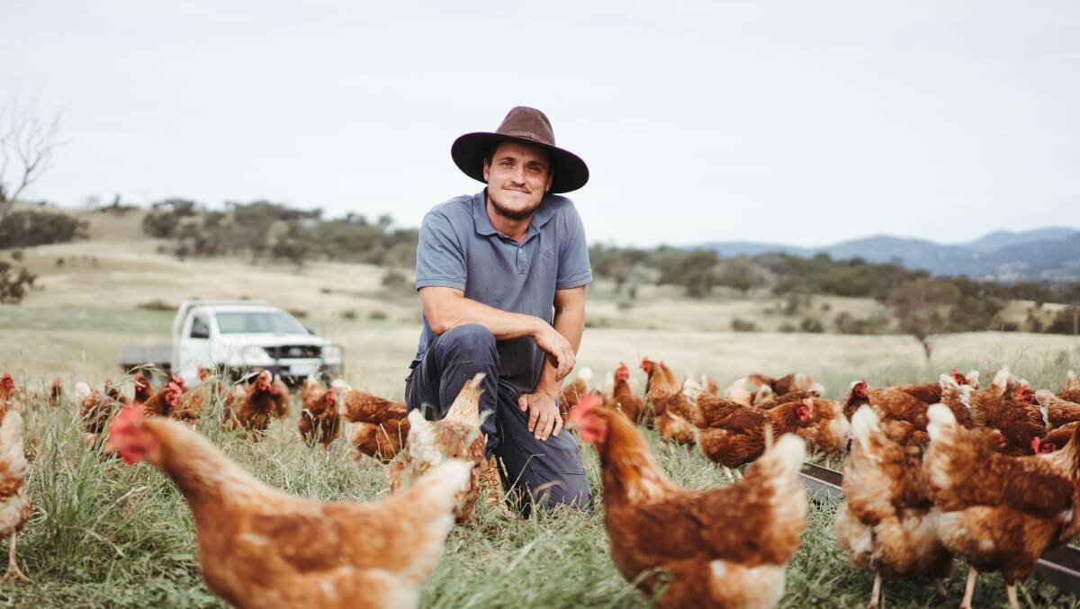 There are 3000 chickens on Adam Lilleyman's Kambah farm. Picture: Dion Georgopoulos