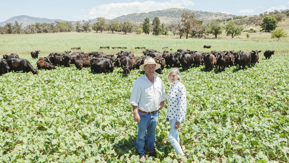 Peter and Kate Gullet at their Paddys River farm. Picture: Dion Georgopoulos 