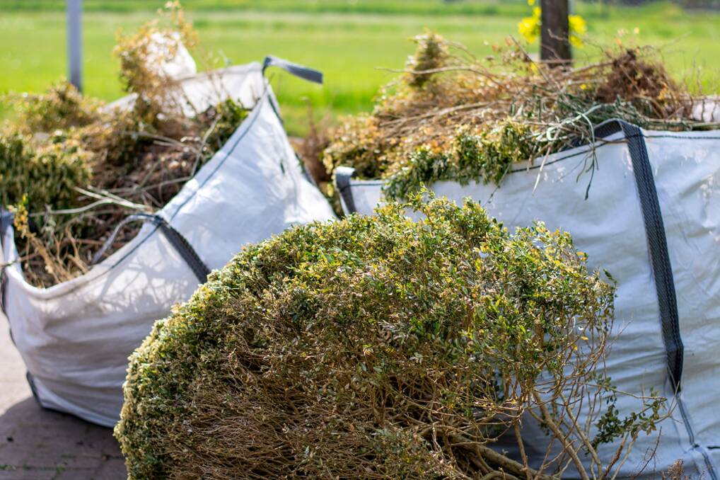 The west Belconnen facility takes up to 6000 drop-offs of green waste a month. Picture: Shutterstock 