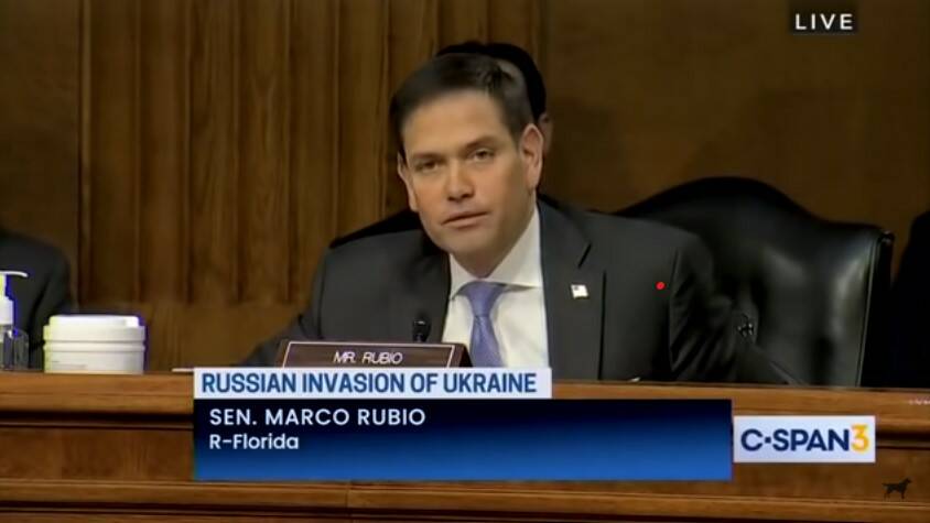 HE ASKED THE QUESTION: Republican Senator Marco Rubio asking about Ukraine bio-labs, March 8: Picture: Foreign Affairs Committee livestream screenshot