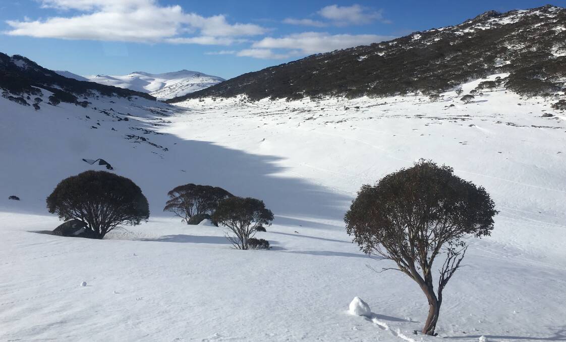Spencers Creek, where official snow depths are measured by Snowy Hydro. Picture: Tim the Yowie Man