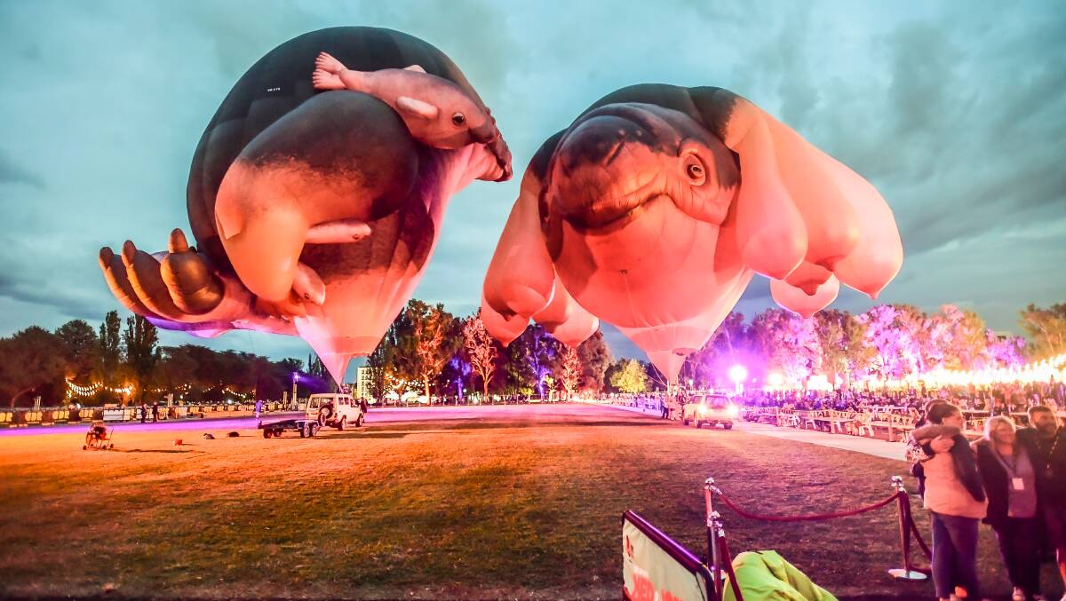 The real Skywhale, right, and Skywhalepapa earlier this year. Picture: Karleen Minney