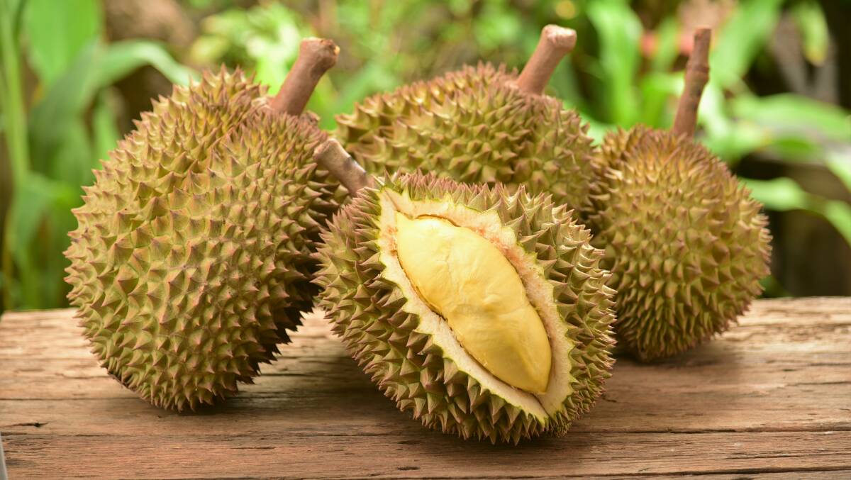 A Durian fruit prompted a call to emergency services over fears of a gas leak. Picture: Shutterstock