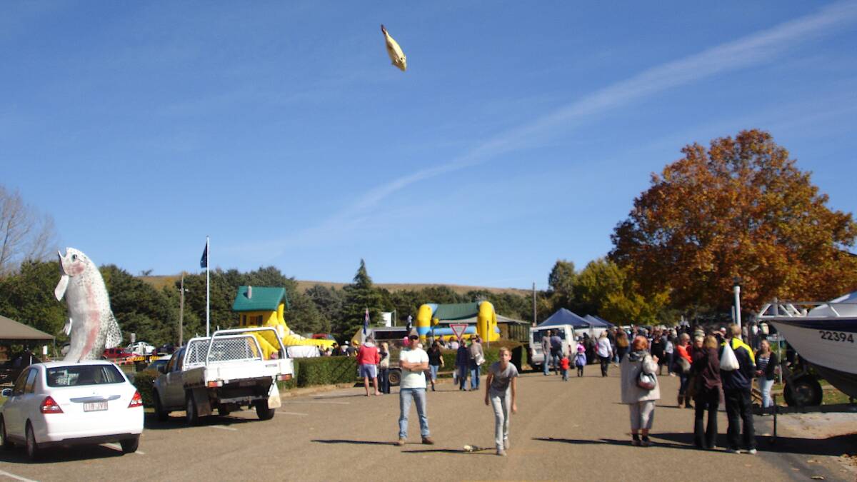 Tossing the Trout at the Adaminaby Easter Fair in 2011 - look how different the trout looked then! Picture by Tim Corkill