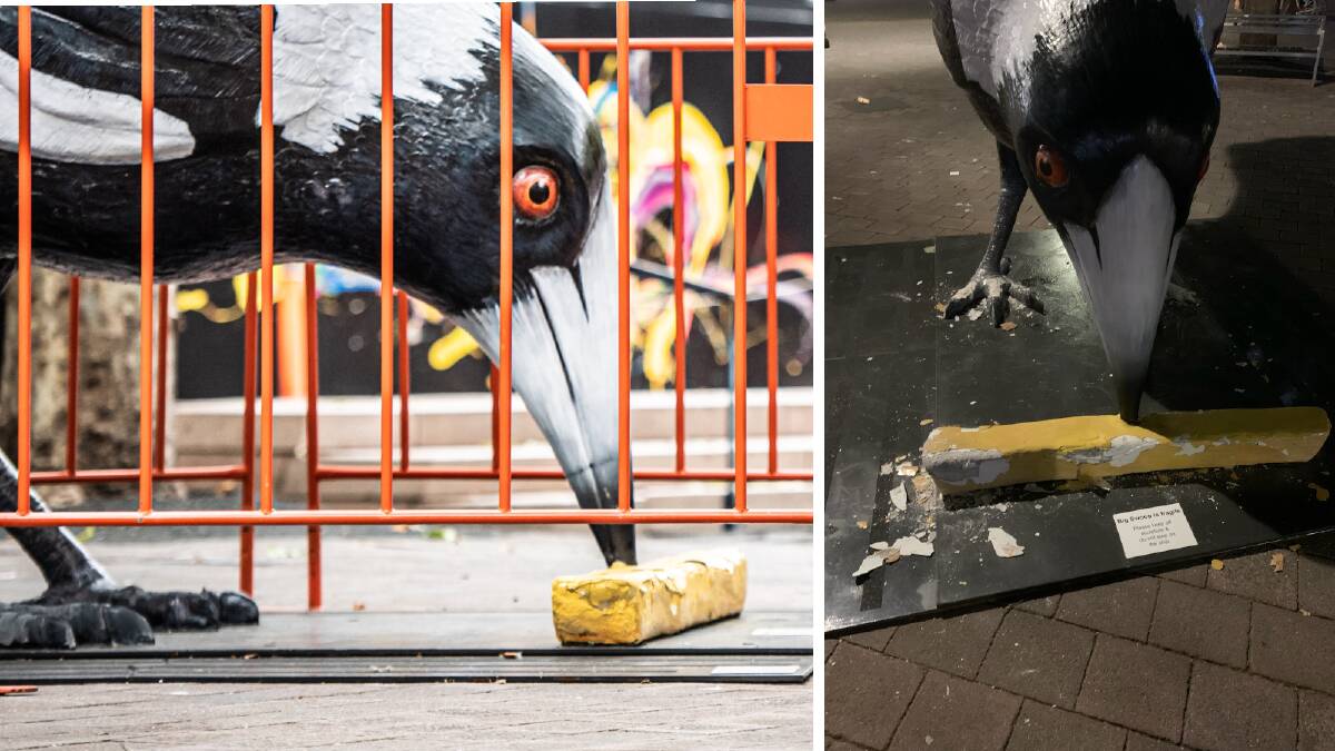 Big Swoop's claws and chip were smashed sometime between Saturday night and Sunday morning. Picture: Karleen Minney, Yanni Pounartzis