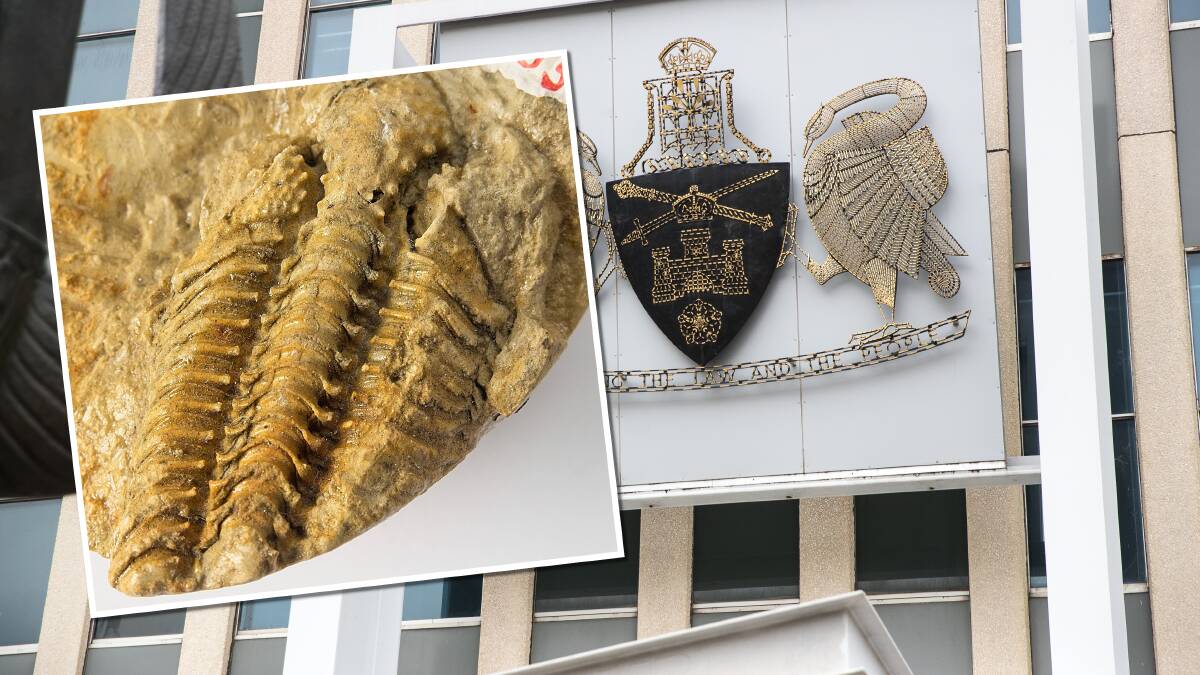 In addition to the ACT's coat of arms, the territory has four formally adopted emblems - including a fossil, Batocara mitchelli, inset. Pictures by Dan Jervis-Bardy, supplied