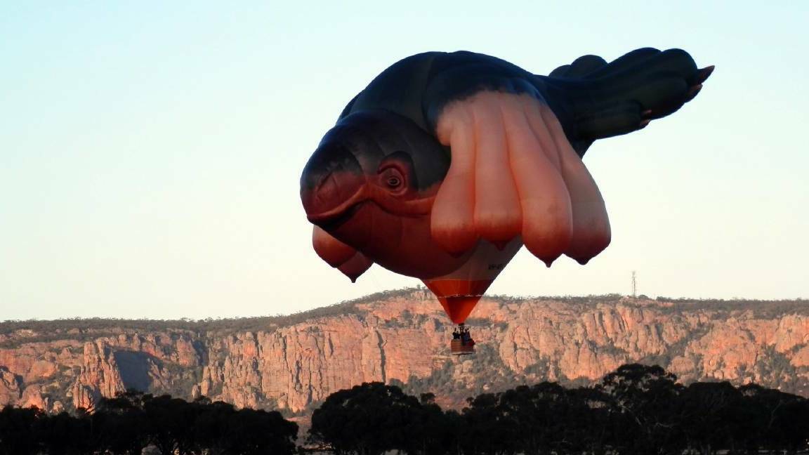 The first images published of Skywhale, after it was an "unusual hot-air balloon was snapped at Mt Arapiles near Wimmera in Victoria. Picture supplied