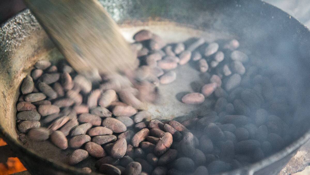 Cacao beans being heated on a stove. Picture by Michael Turtle