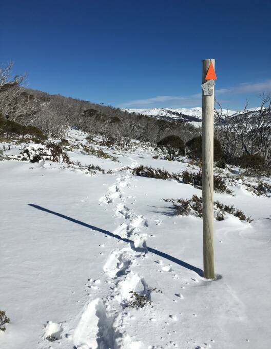 Breaking track above Perisher Gap. Picture: Tim the Yowie Man