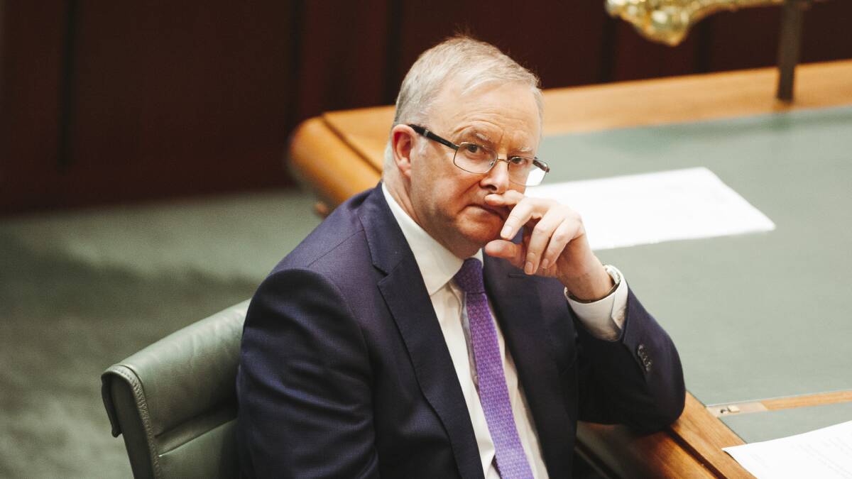 Labor leader Anthony Albanese. Picture: Dion Georgopoulos