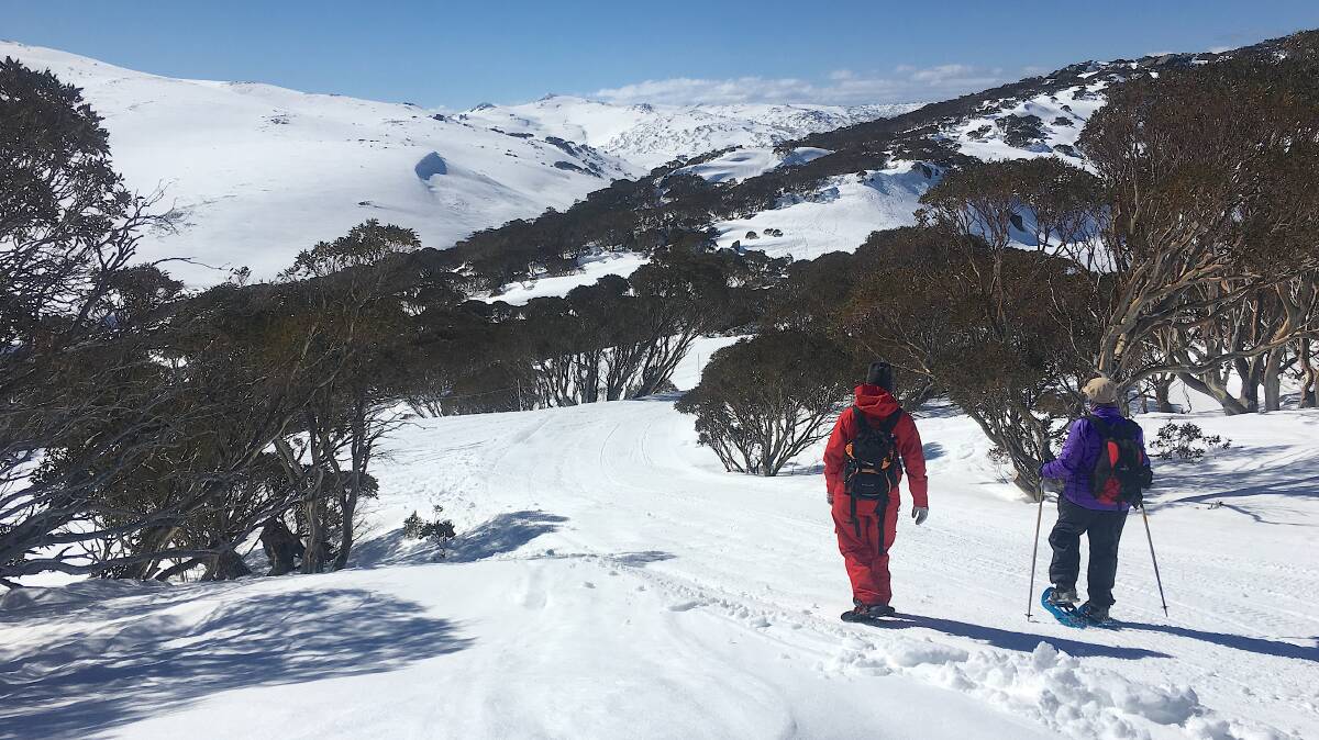 Walking along the 'Top of the World' track at Charlotte Pass. Picture: Tim the Yowie Man