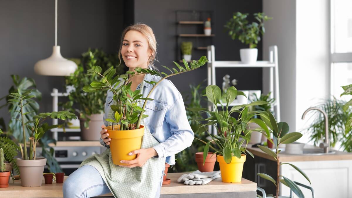 Growing plants in pots is simple. Picture Shutterstock