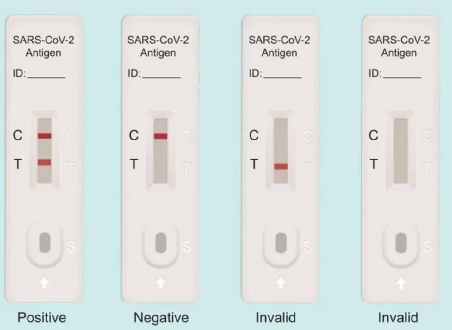 Your test result will look like one of these. Picture: antibodies.com/screenshot