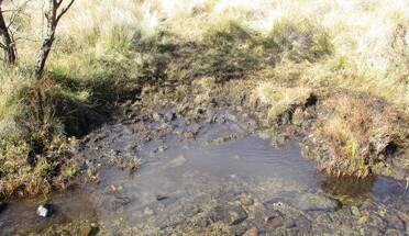 Bank degradation and pugging of a creek edge by feral horses. Picture: Mark Lintermans