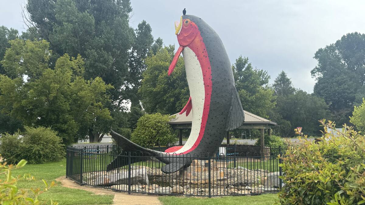 The recent paint job on Adaminaby's Big Trout has attracted a widespread criticism for being cartoonish rather than representative of a real trout. Picture by Tim the Yowie Man