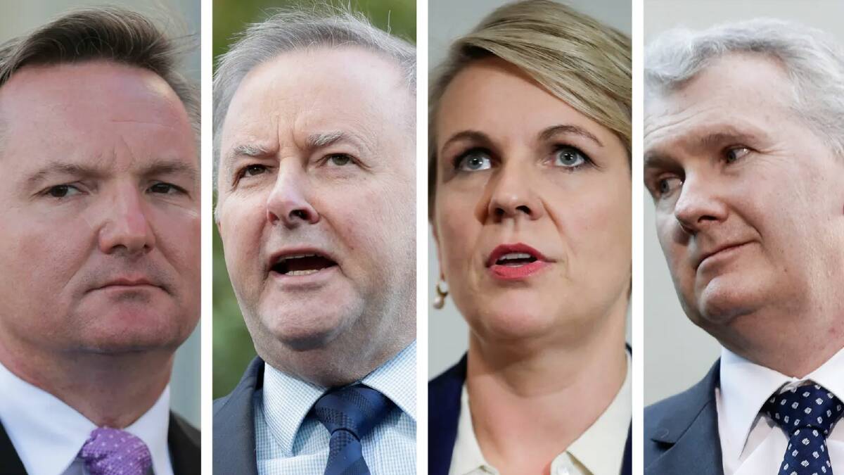 Chris Bowen, Anthony Albanese, Tanya Plibersek are likely Labor leadership contenders, while Tony Burke is said to be considering running. Picture: Alex Ellinghausen