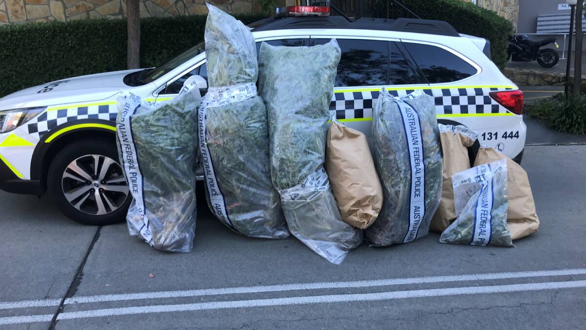 The plants weighed over 90 kilograms. Picture: ACT Policing