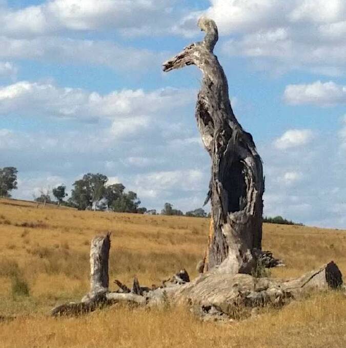 See the giant kangaroo? Picture by Christina Steele