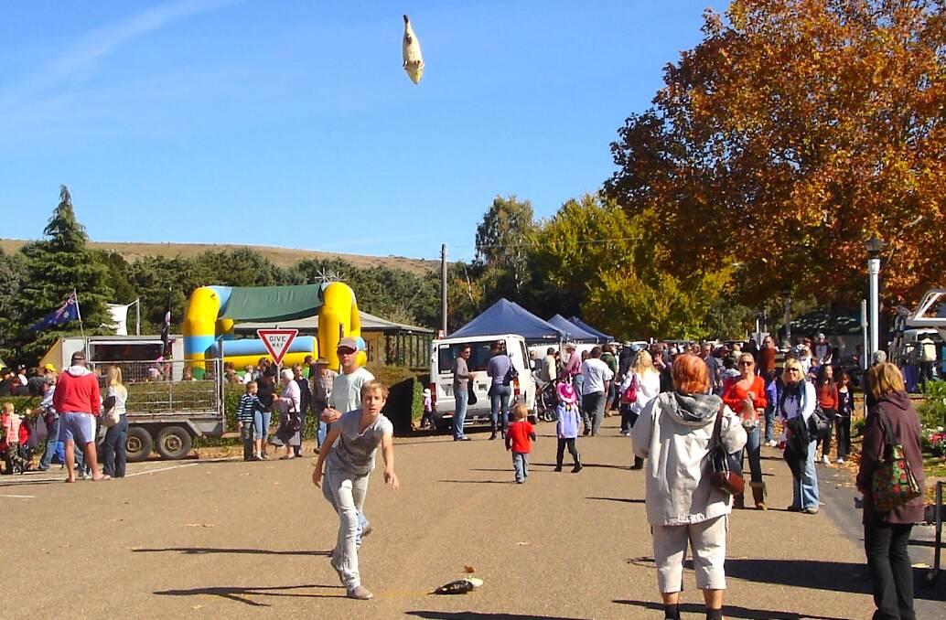 Tossing the Trout at the Adaminaby Easter Fair. Picture by Tim Corkill