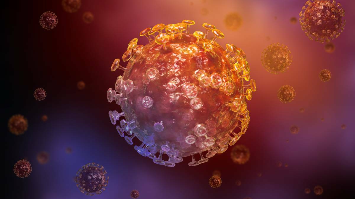 Coronavirus updates: as it happened, Monday, March 30, 2020