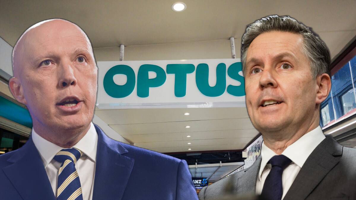 Opposition Leader Peter Dutton and Health Minister Mark Butler. File picture