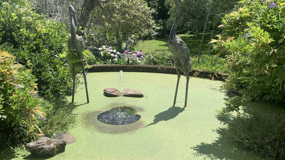 One of the many water features in the extensive gardens at Milton Park Country House Hotel & Spa. Picture by Tim the Yowie Man