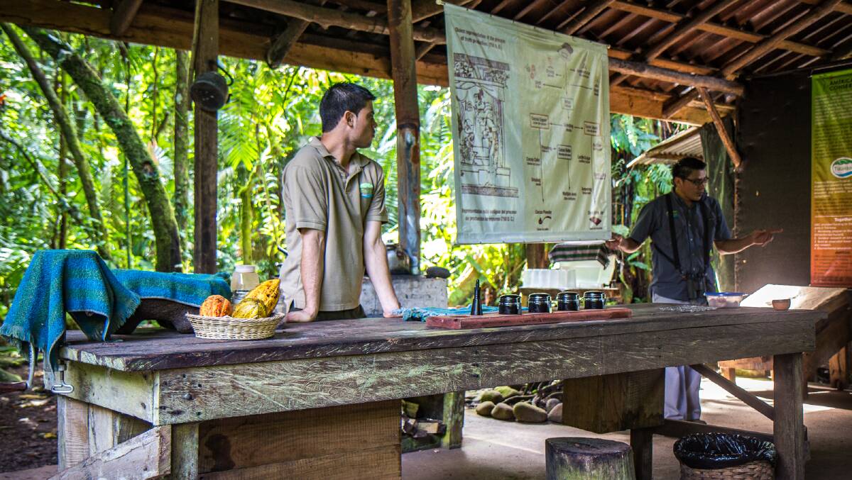 A presentation at Tirimbina Rainforest Center about chocolate. Picture by Michael Turtle