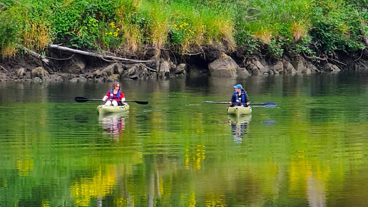 Kayaking with Kiah Wilderness Tours. Picture: Supplied