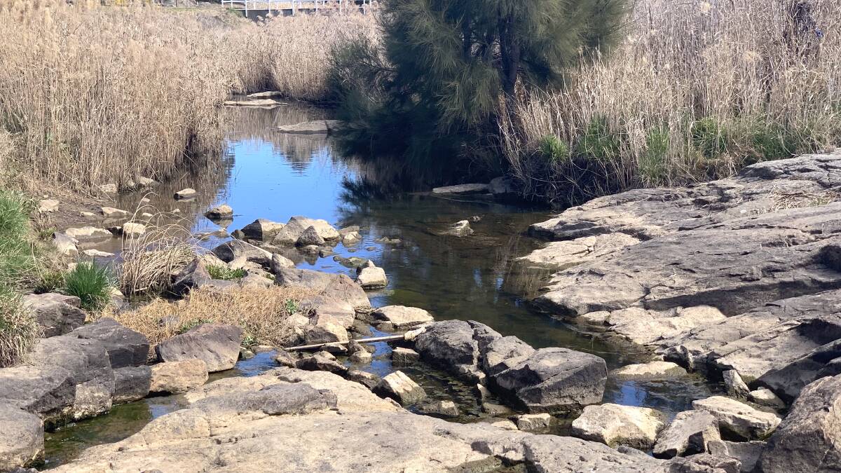 This non-descript section of Ginninderra Creek features many Indigenous axe grinding grooves. Picture: Tim the Yowie Man