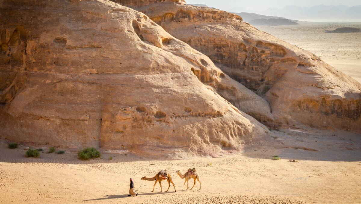 A man walks his camels among the rock formations of Wadi Rum.