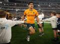 The Wallabies are confident Noah Lolesio can get the job done again in Brisbane. Picture: Getty Images