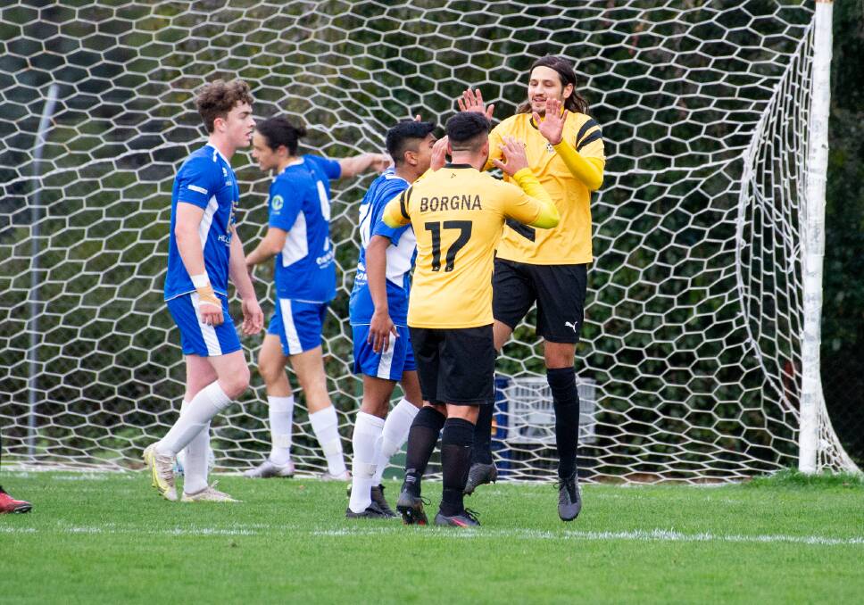 Tigers FC's Nikolas Popovich celebrates a goal with teammate Julian Borgna in their 2-1 win over Canberra Olympic FC on Saturday. Picture: Elesa Kurtz