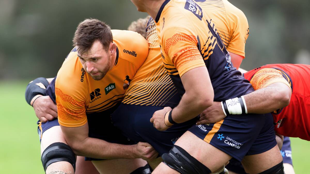 Brumbies Nick Frost and Cadeyrn Neville are in line to make their Wallabies debuts. Picture: Sitthixay Ditthavong