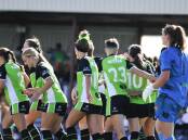 Canberra United could be returning home to McKellar Park. Picture: Dion Georgopoulos