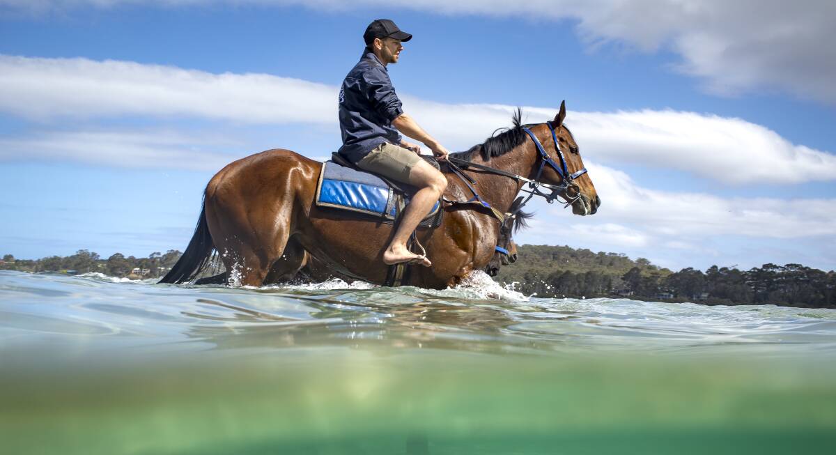 Canberra trainer Matthew Dale with stable star Fell Swoop in the Moruya River last year. Picture: Sitthixay Ditthavong