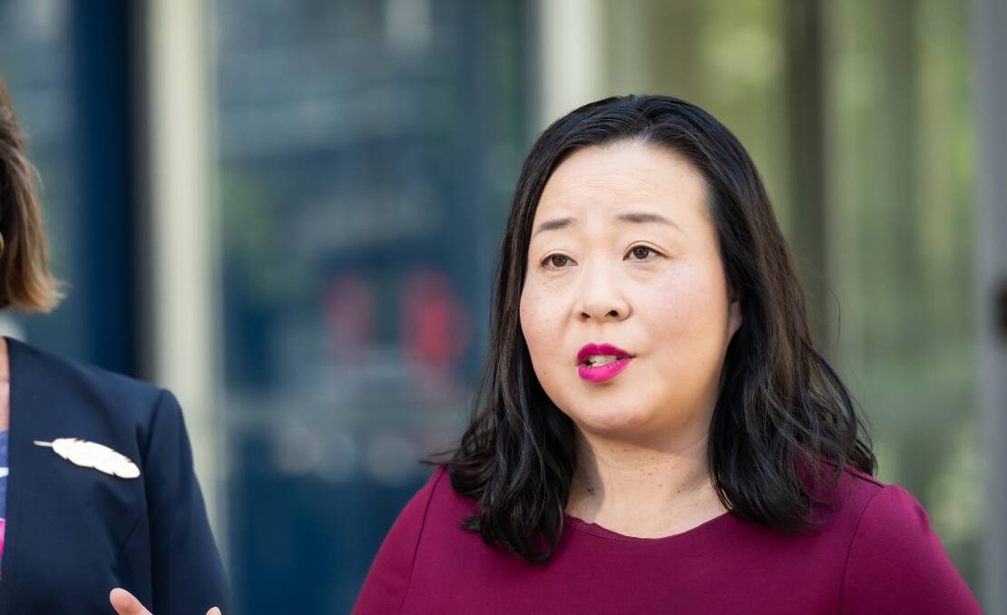 Opposition Leader Elizabeth Lee. Picture by Karleen Minney