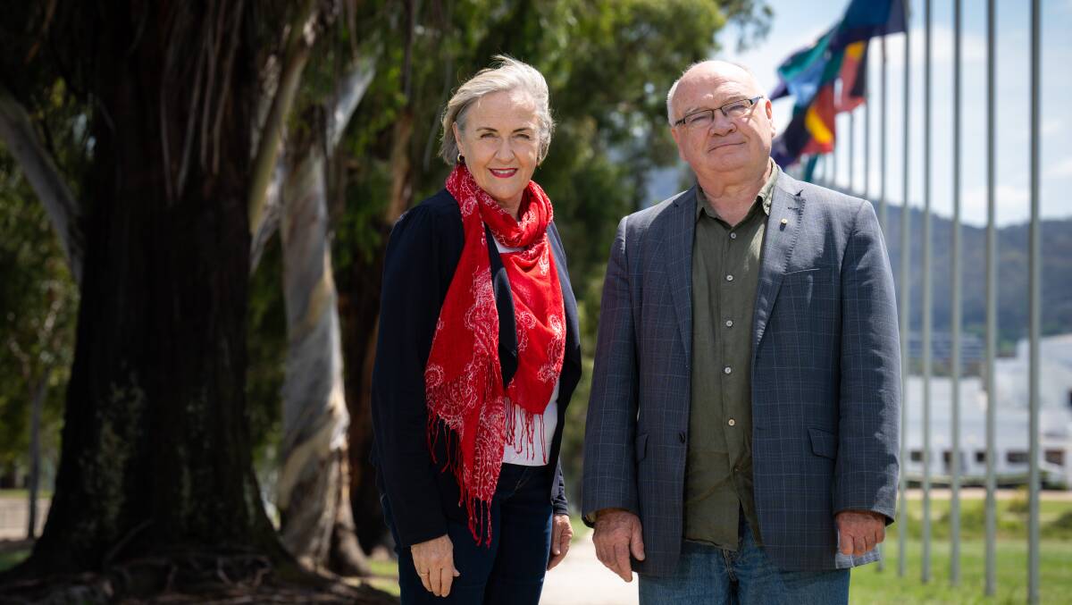Ann Bray and Peter Strong will run as independents in the 2024 ACT election. Picture By Elesa Kurtz