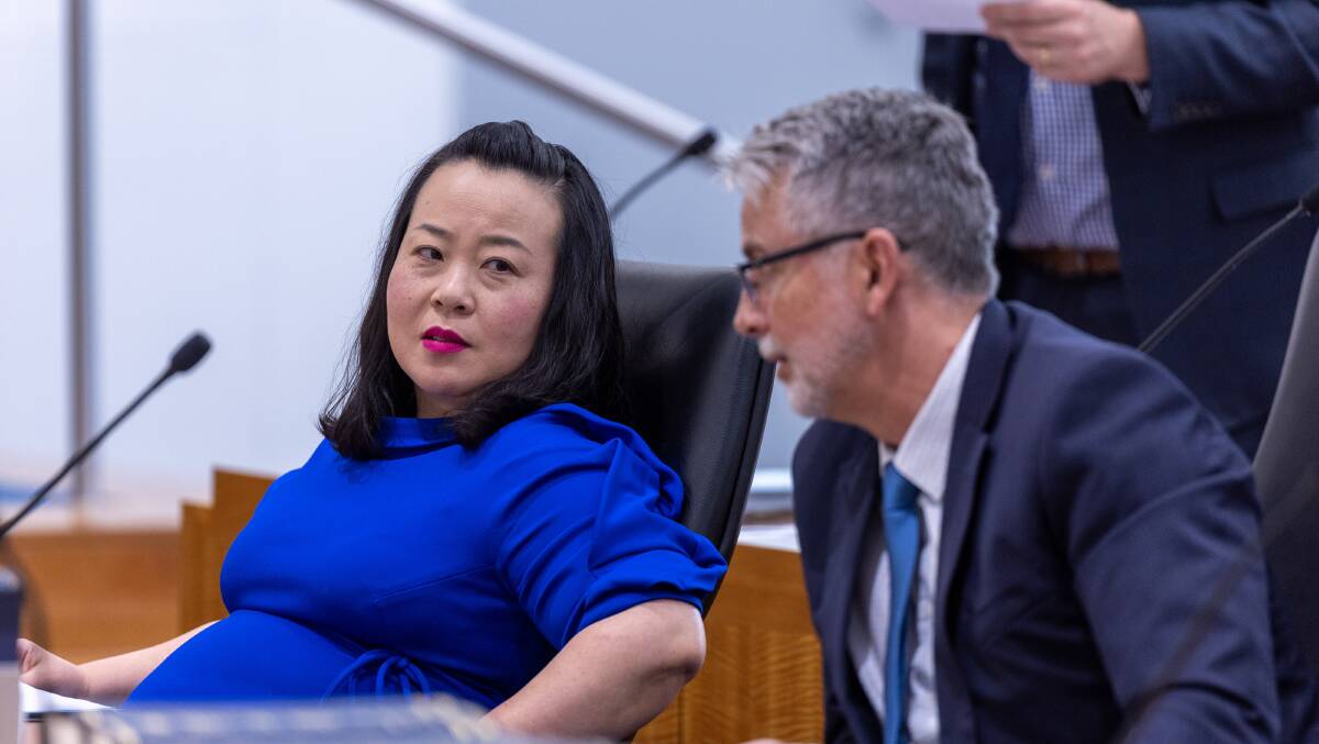 Opposition Leader Elizabeth Lee (left) has dumped former deputy opposition leader Jeremy Hanson from the shadow ministry. Picture by Gary Ramage 