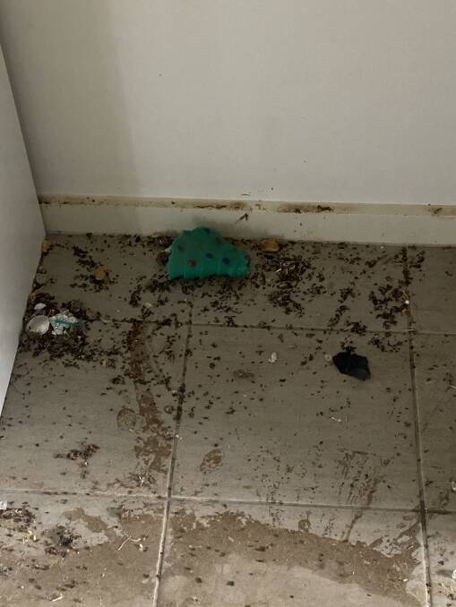 Sarah Gresham said there was mice poo in "every inch of her house". Picture supplied 