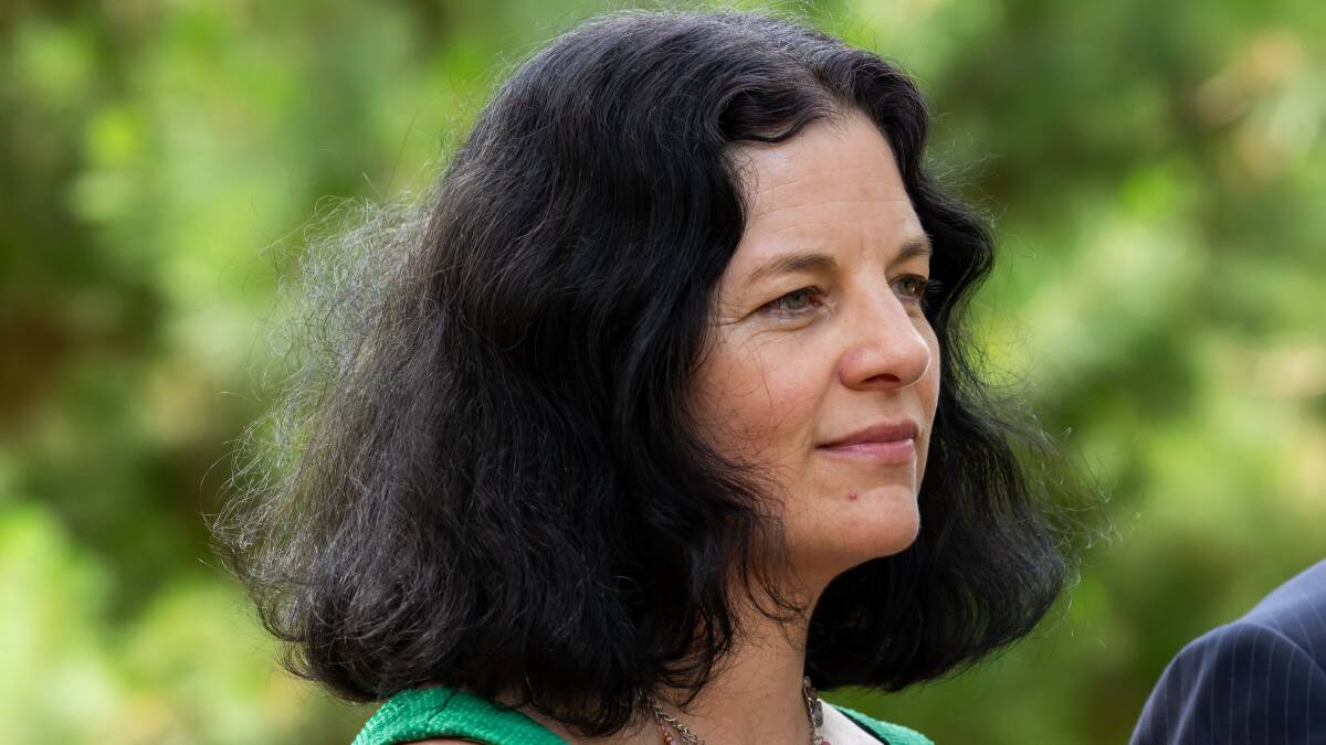 Greens planning spokeswoman Jo Clay. Picture by Elesa Kurtz 